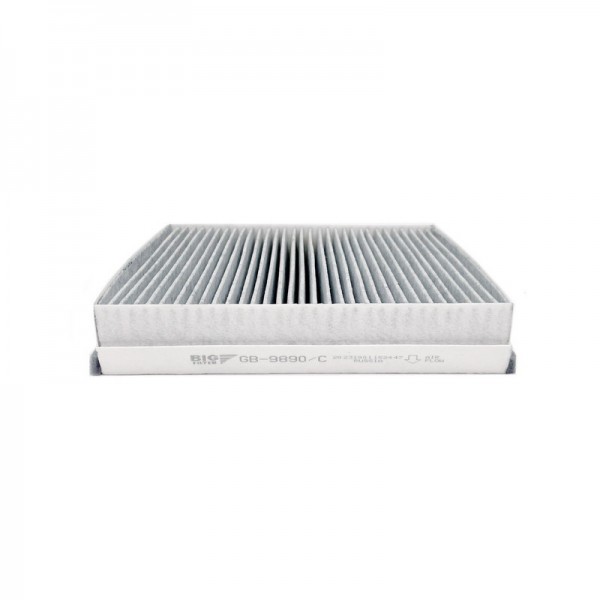 BIG FILTER GB-9890-C