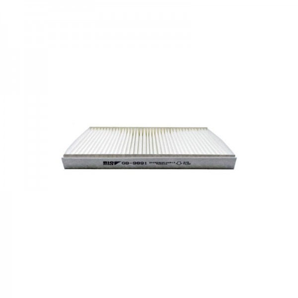 BIG FILTER GB-9891