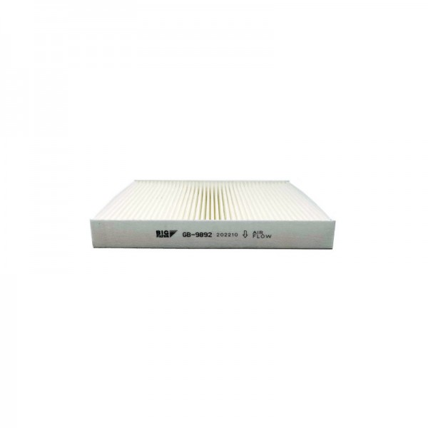 BIG FILTER GB-9892