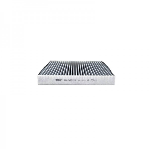 BIG FILTER GB-9892-C