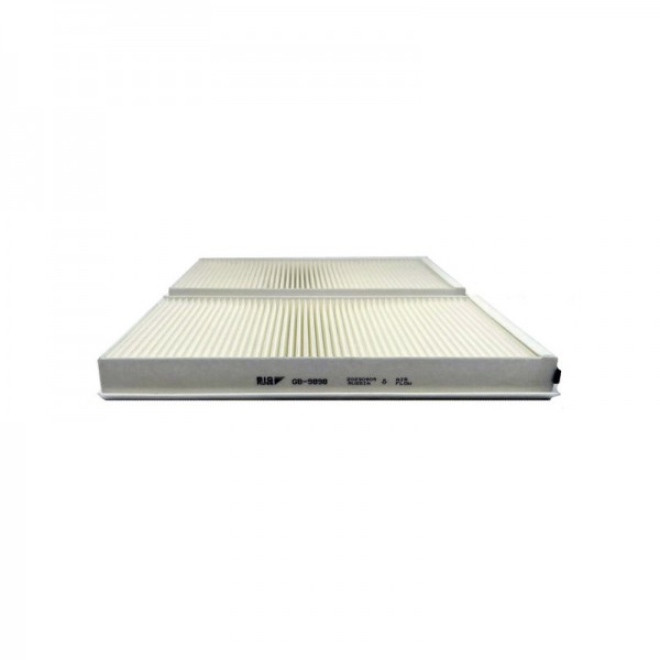 BIG FILTER GB-9898