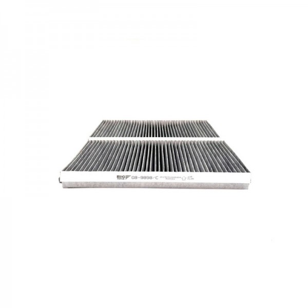 BIG FILTER GB-9898-C
