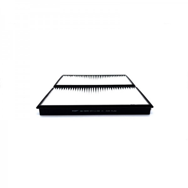BIG FILTER GB-9899