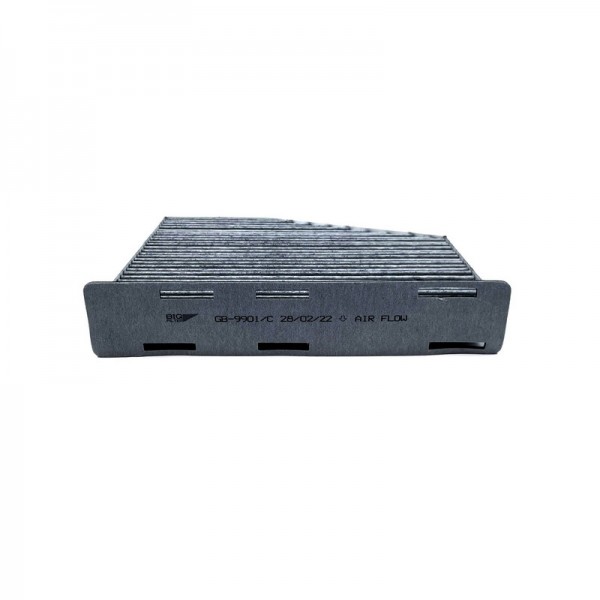 BIG FILTER GB-9901-C