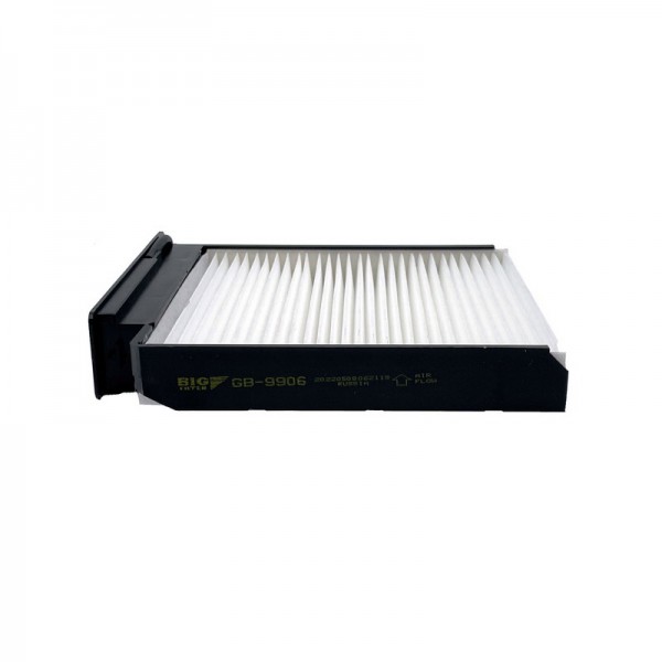 BIG FILTER GB-9906