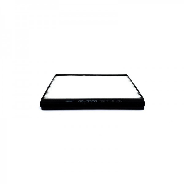 BIG FILTER GB-9908