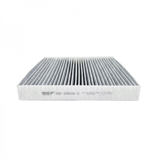 BIG FILTER GB-9909-C