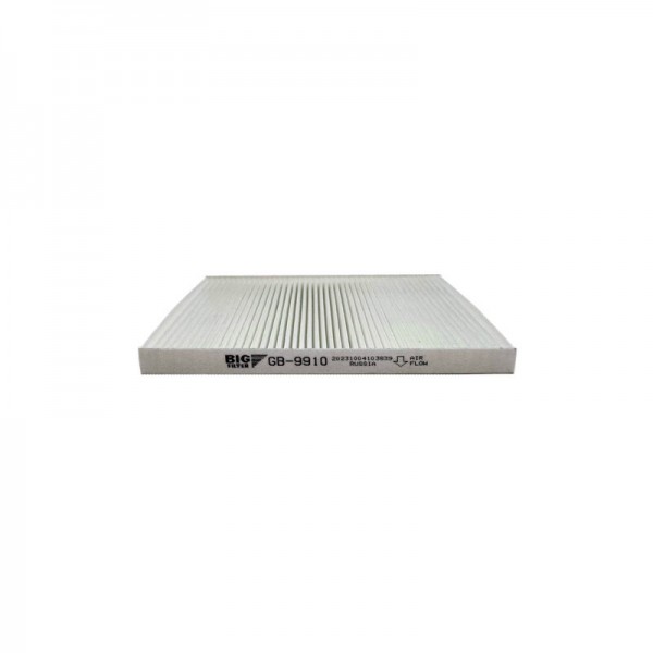 BIG FILTER GB-9910