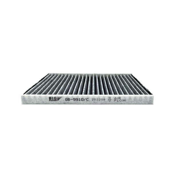 BIG FILTER GB-9910-C