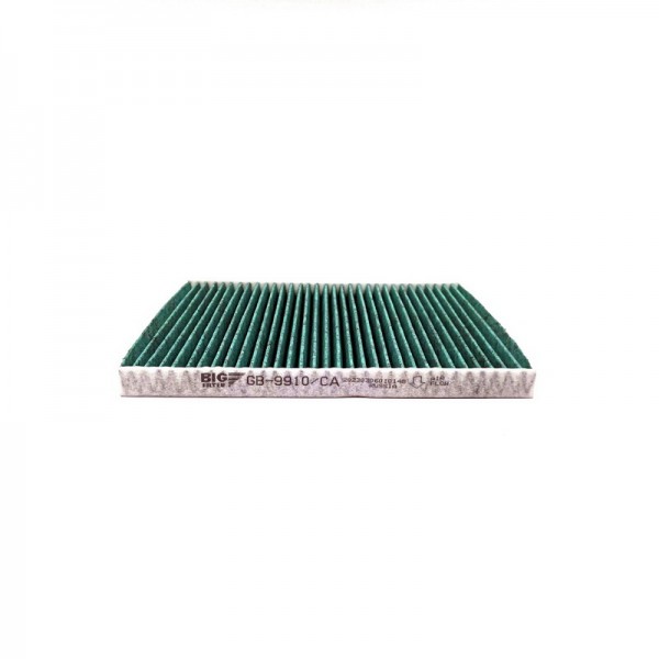 BIG FILTER GB-9910-CA