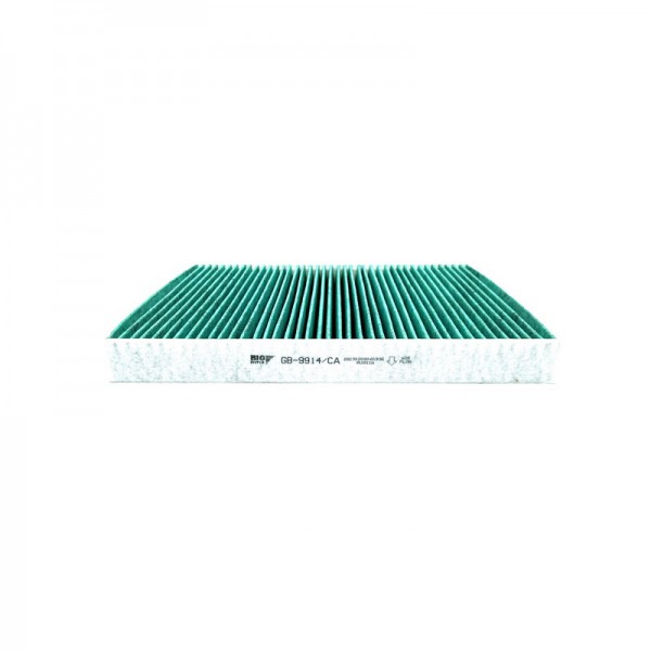 BIG FILTER GB-9914-CA