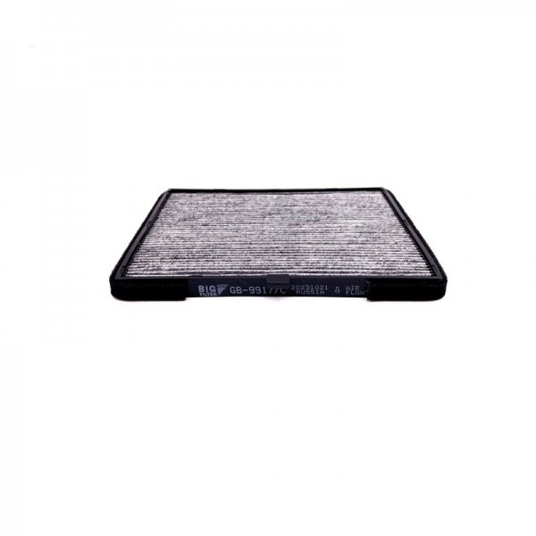 BIG FILTER GB-9917-C