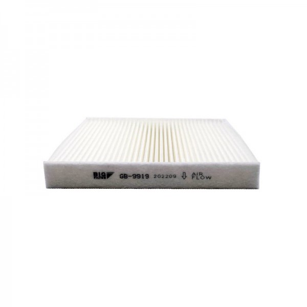 BIG FILTER GB-9919