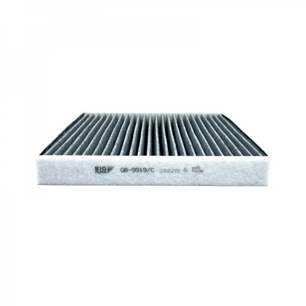 BIG FILTER GB-9919-C
