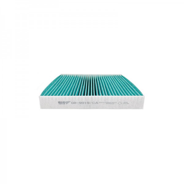 BIG FILTER GB-9919-CA