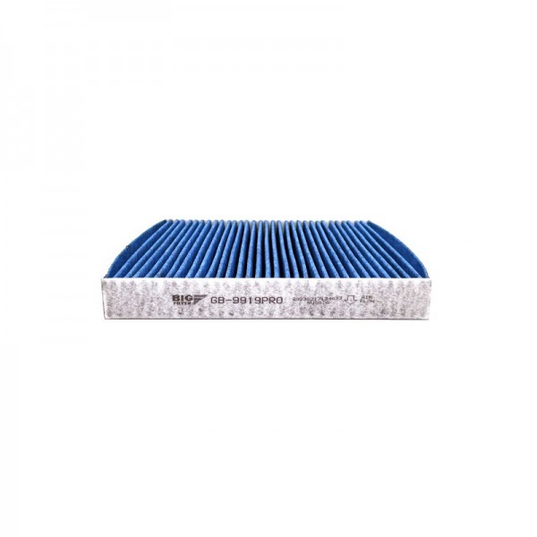 BIG FILTER GB-9919PRO