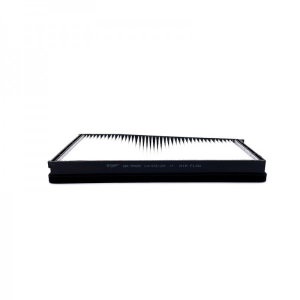 BIG FILTER GB-9925