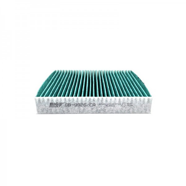 BIG FILTER GB-9926-CA