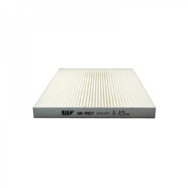 BIG FILTER GB-9927