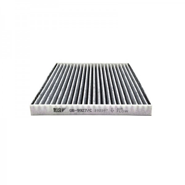 BIG FILTER GB-9927-C