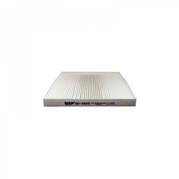 BIG FILTER GB-9929