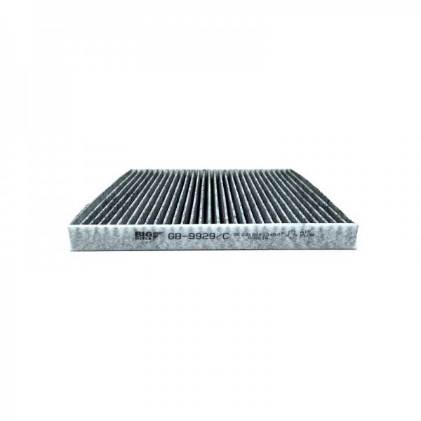 BIG FILTER GB-9929-C