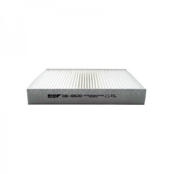 BIG FILTER GB-9930