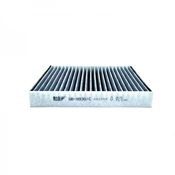 BIG FILTER GB-9930-C