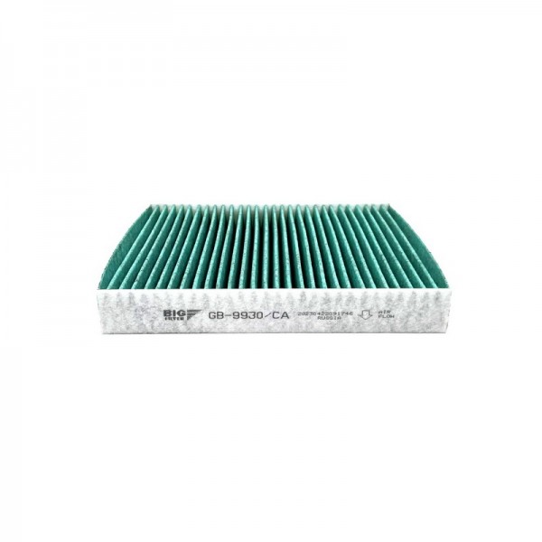 BIG FILTER GB-9930-CA