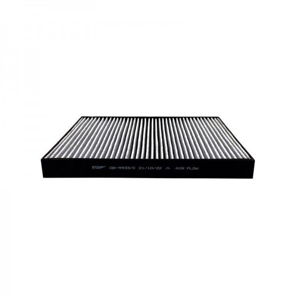 BIG FILTER GB-9933-C