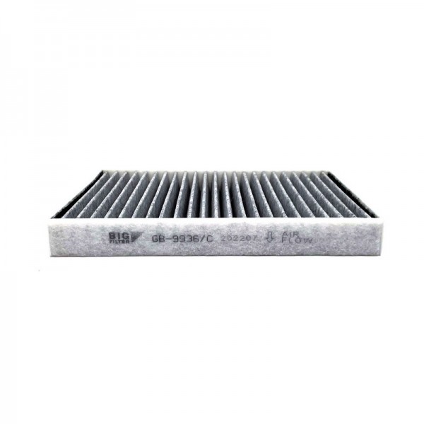 BIG FILTER GB-9936-C