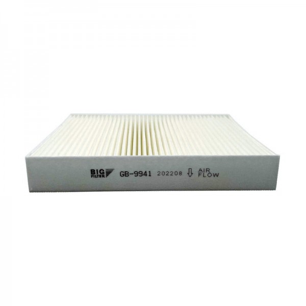 BIG FILTER GB-9941