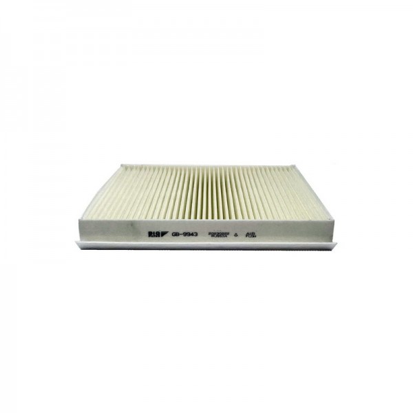 BIG FILTER GB-9943