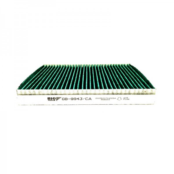 BIG FILTER GB-9943-CA