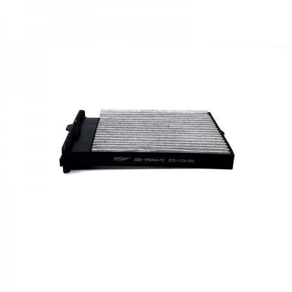 BIG FILTER GB-9944-C