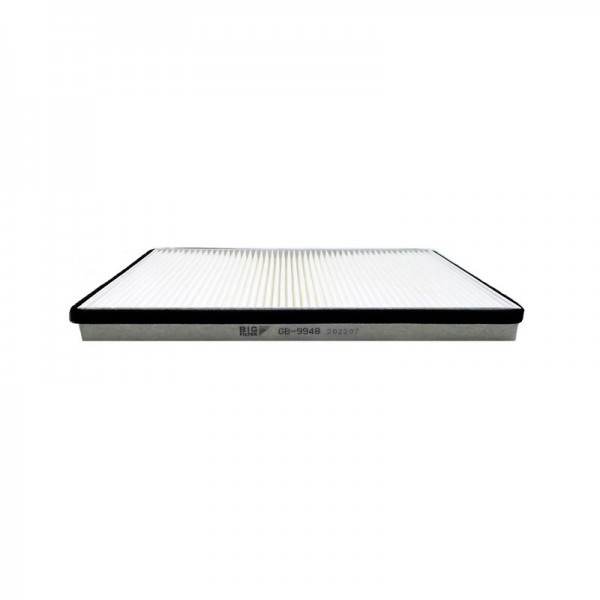 BIG FILTER GB-9948