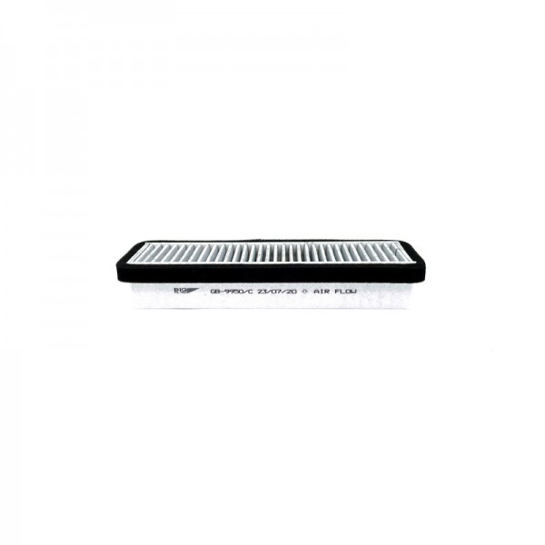 BIG FILTER GB-9950-C