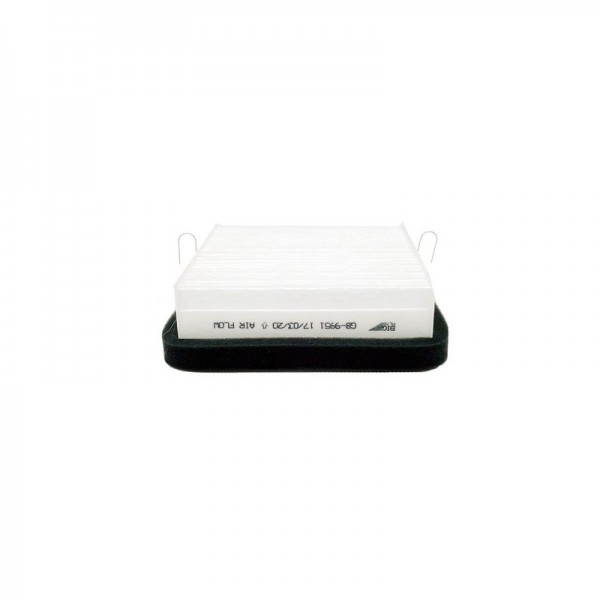 BIG FILTER GB-9951