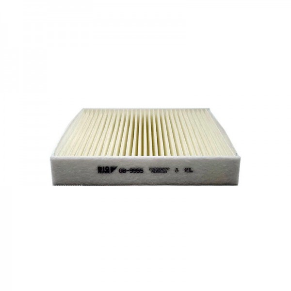 BIG FILTER GB-9955