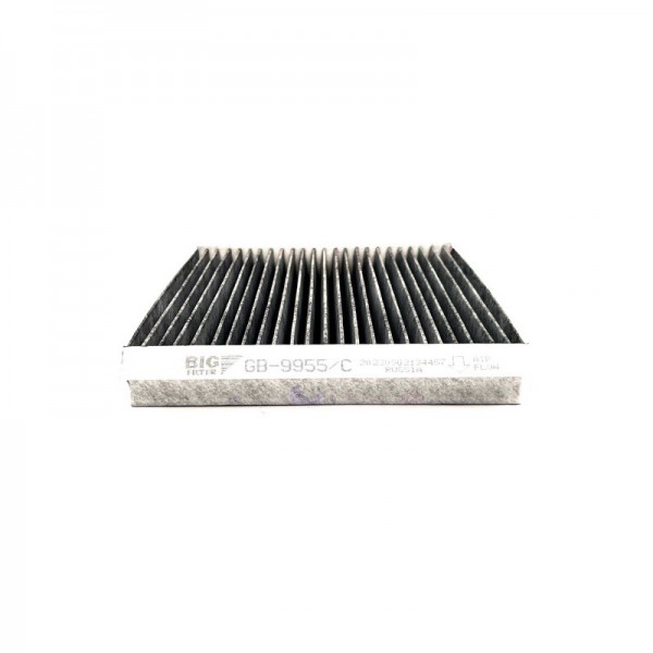 BIG FILTER GB-9955-C