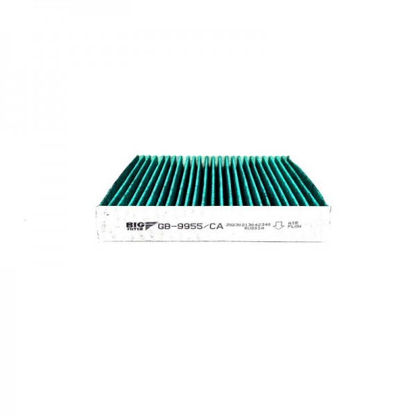 BIG FILTER GB-9955-CA