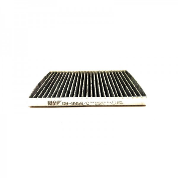 BIG FILTER GB-9956-C