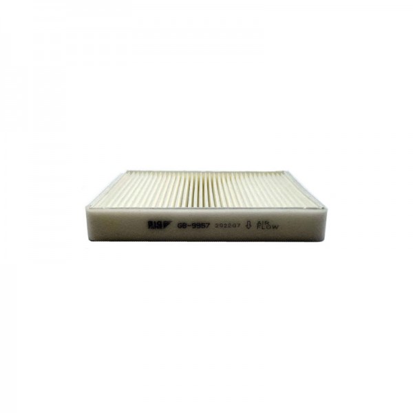 BIG FILTER GB-9957