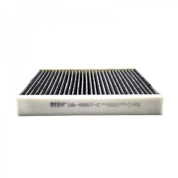 BIG FILTER GB-9957-C