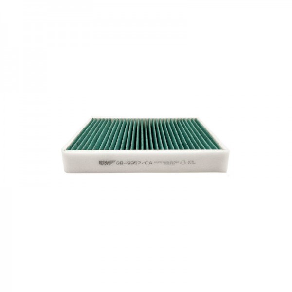 BIG FILTER GB-9957-CA