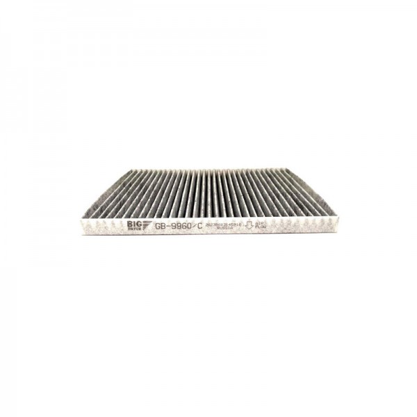 BIG FILTER GB-9960-C