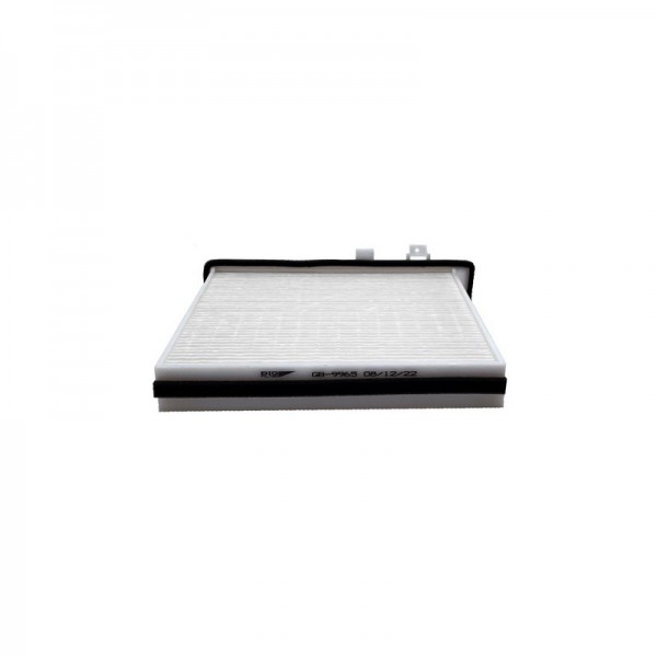 BIG FILTER GB-9965