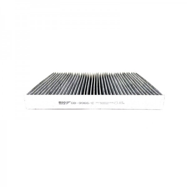 BIG FILTER GB-9966-C