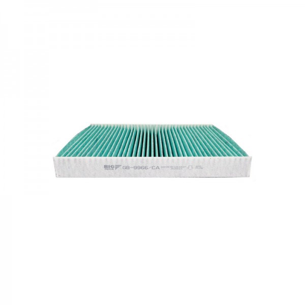 BIG FILTER GB-9966-CA
