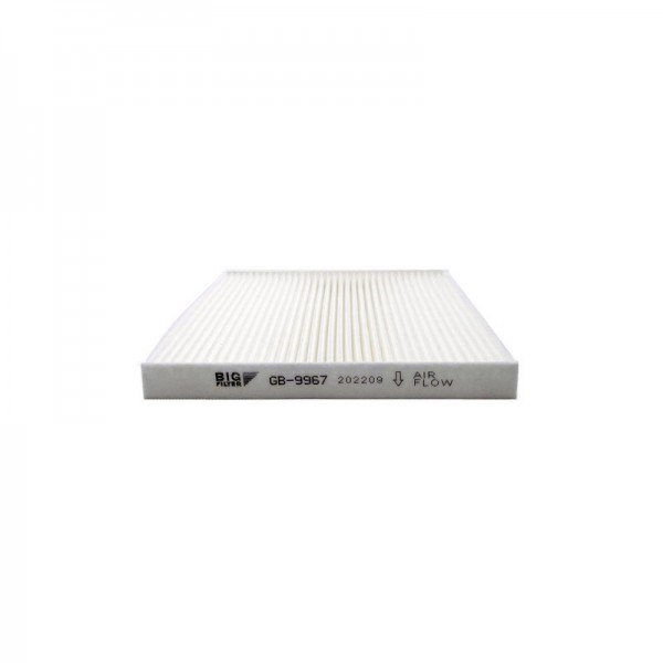 BIG FILTER GB-9967